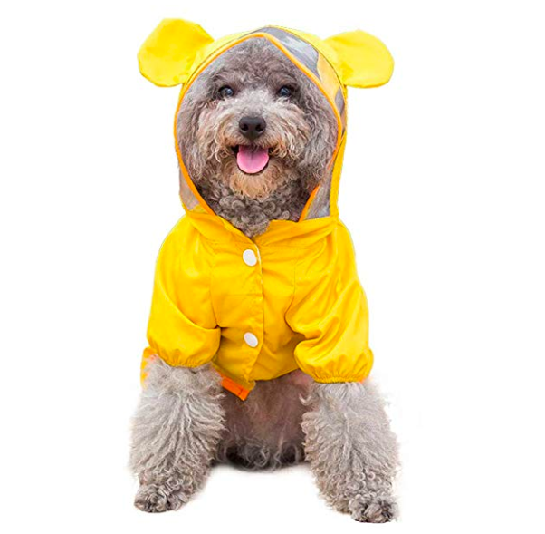 14 Pacific Northwest-Inspired Halloween Costumes for You and Your Pet